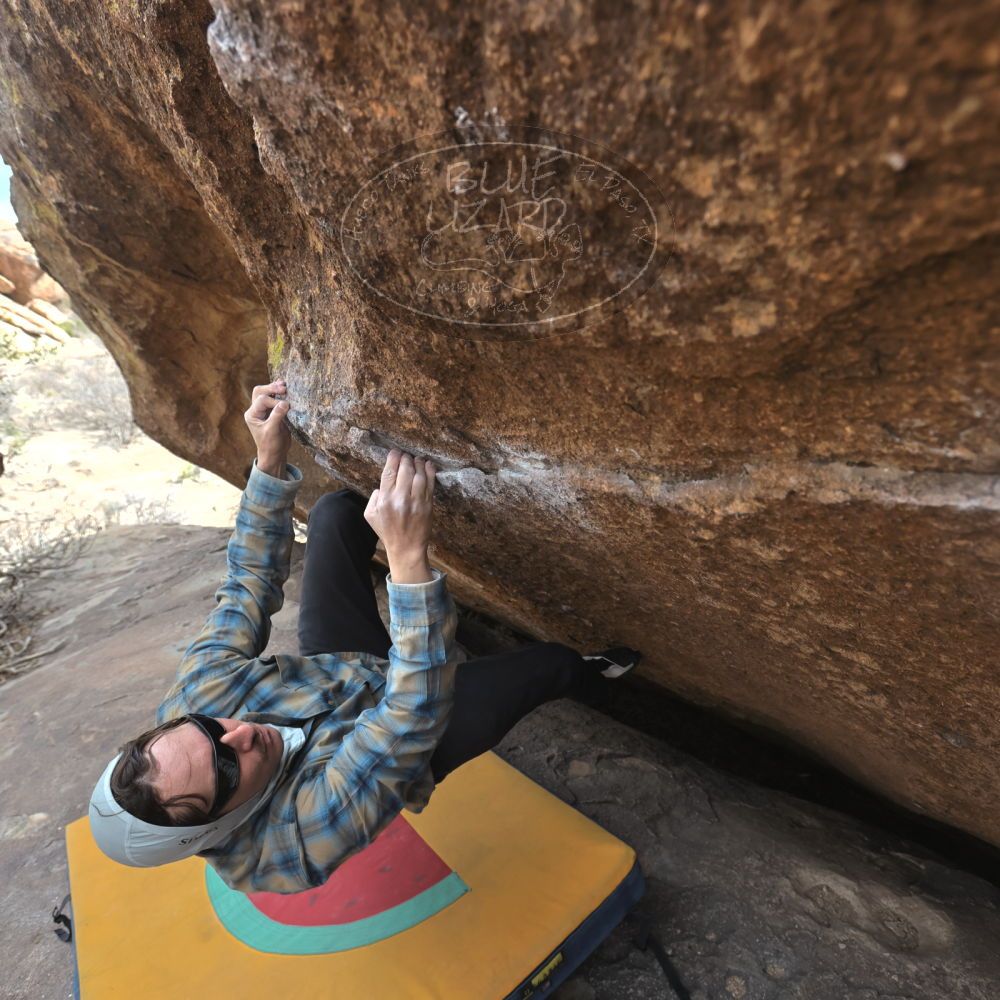 Filename: SRM_20250308_1353080.jpg
Aperture: f/5.0
Shutter Speed: 1/400
Body: Canon EOS R6
Lens: Canon EF 16-35mm f/2.8 L