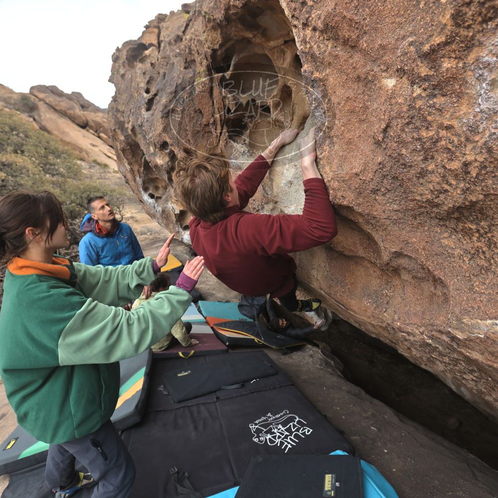 

Filename: SRM_20250308_1404570.jpg
Aperture: f/5.0
Shutter Speed: 1/400
Body: Canon EOS R6
Lens: Canon EF 16-35mm f/2.8 L