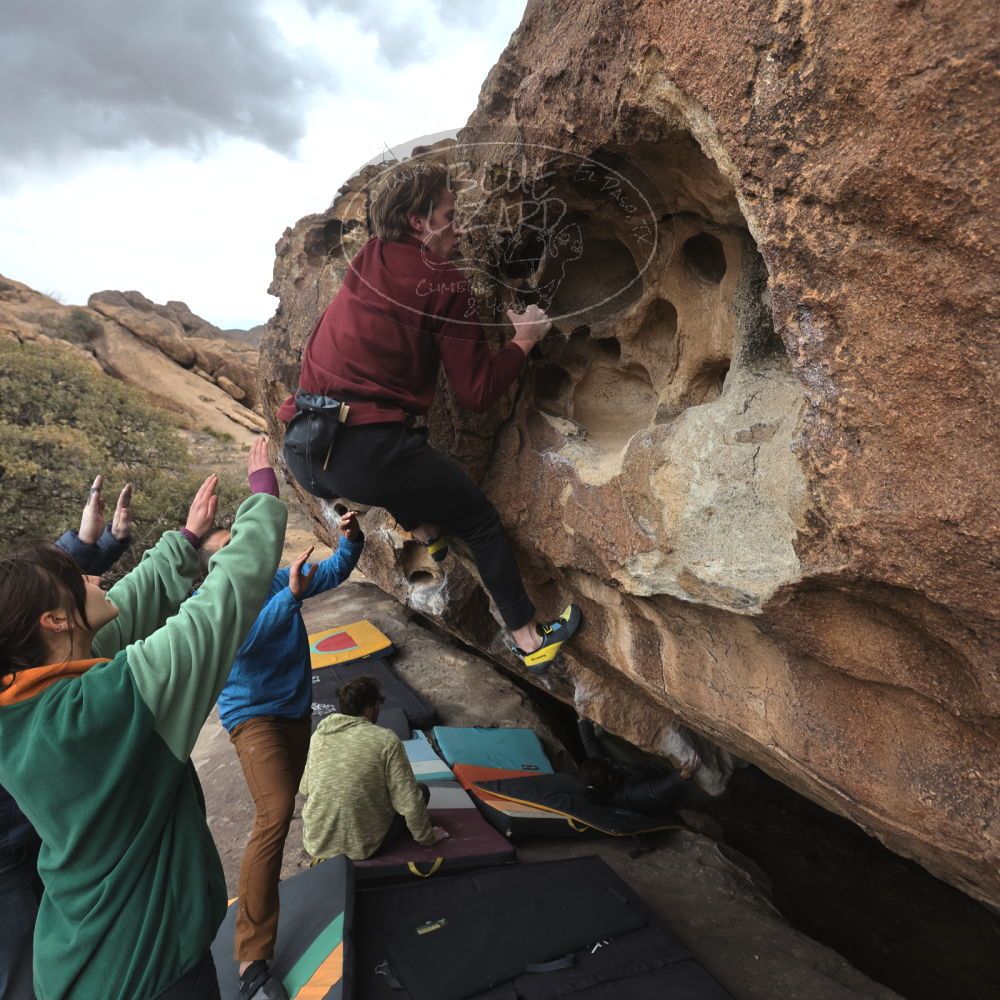 Filename: SRM_20250308_1405100.jpg
Aperture: f/5.0
Shutter Speed: 1/400
Body: Canon EOS R6
Lens: Canon EF 16-35mm f/2.8 L