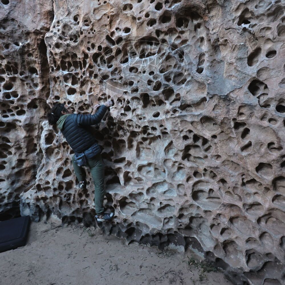 

Filename: SRM_20250308_1637400.jpg
Aperture: f/4.0
Shutter Speed: 1/250
Body: Canon EOS R6
Lens: Canon EF 16-35mm f/2.8 L