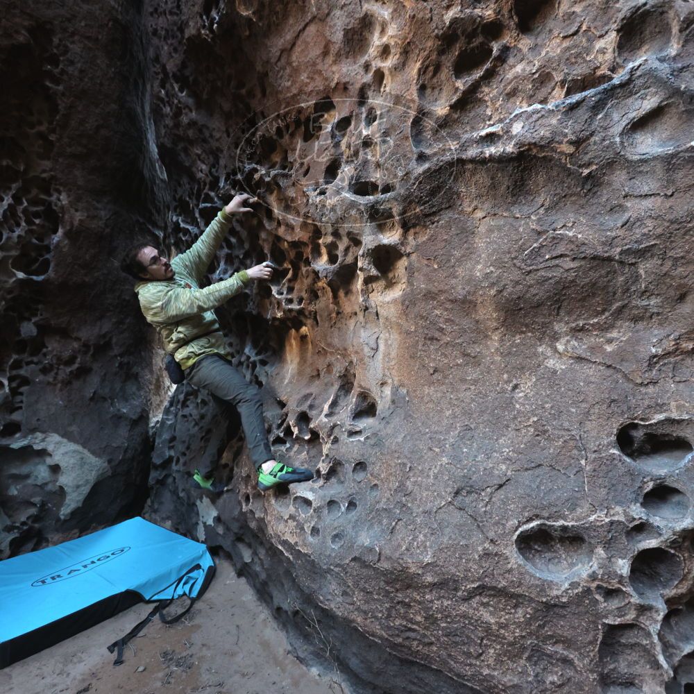 

Filename: SRM_20250308_1638030.jpg
Aperture: f/4.0
Shutter Speed: 1/250
Body: Canon EOS R6
Lens: Canon EF 16-35mm f/2.8 L