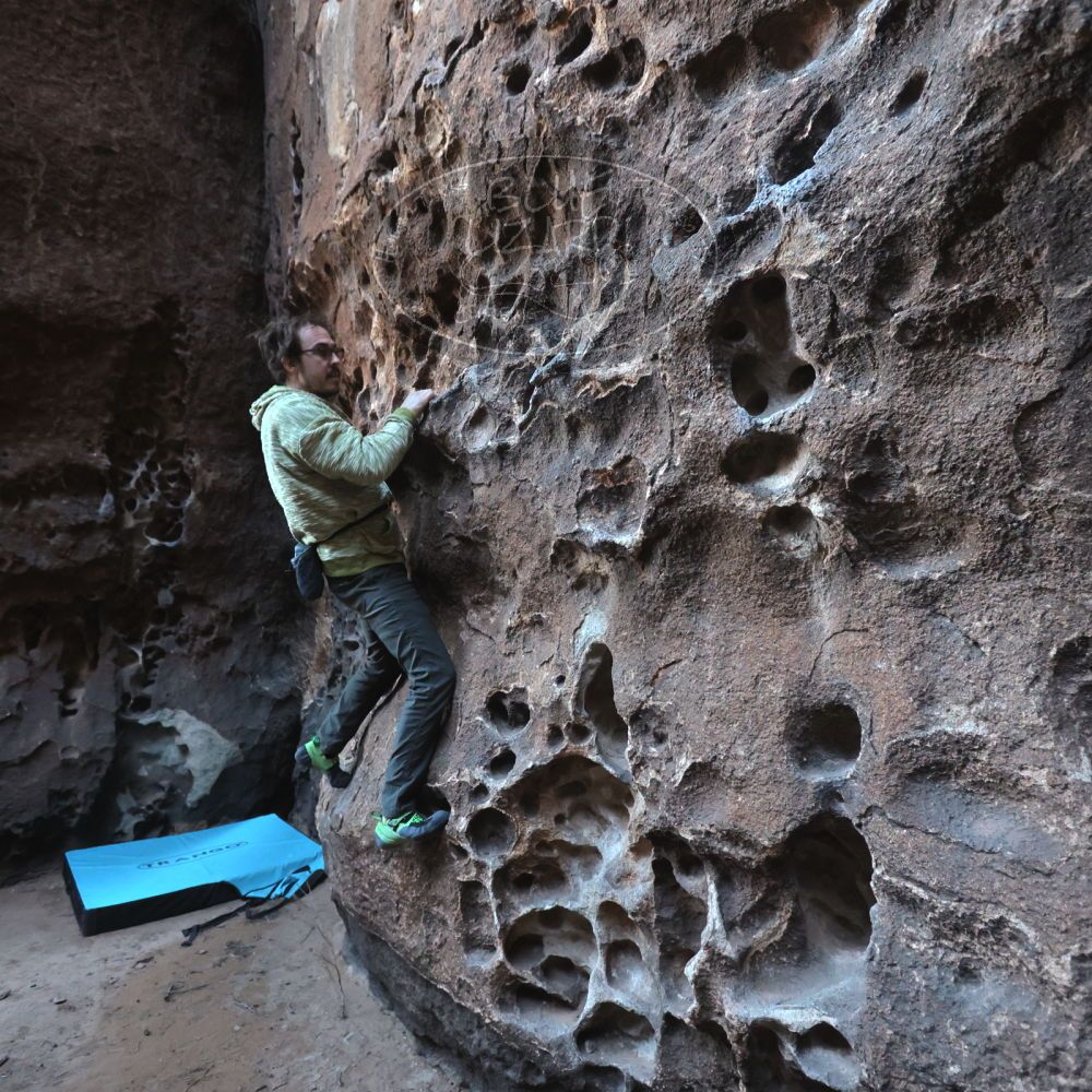 

Filename: SRM_20250308_1638160.jpg
Aperture: f/4.0
Shutter Speed: 1/250
Body: Canon EOS R6
Lens: Canon EF 16-35mm f/2.8 L