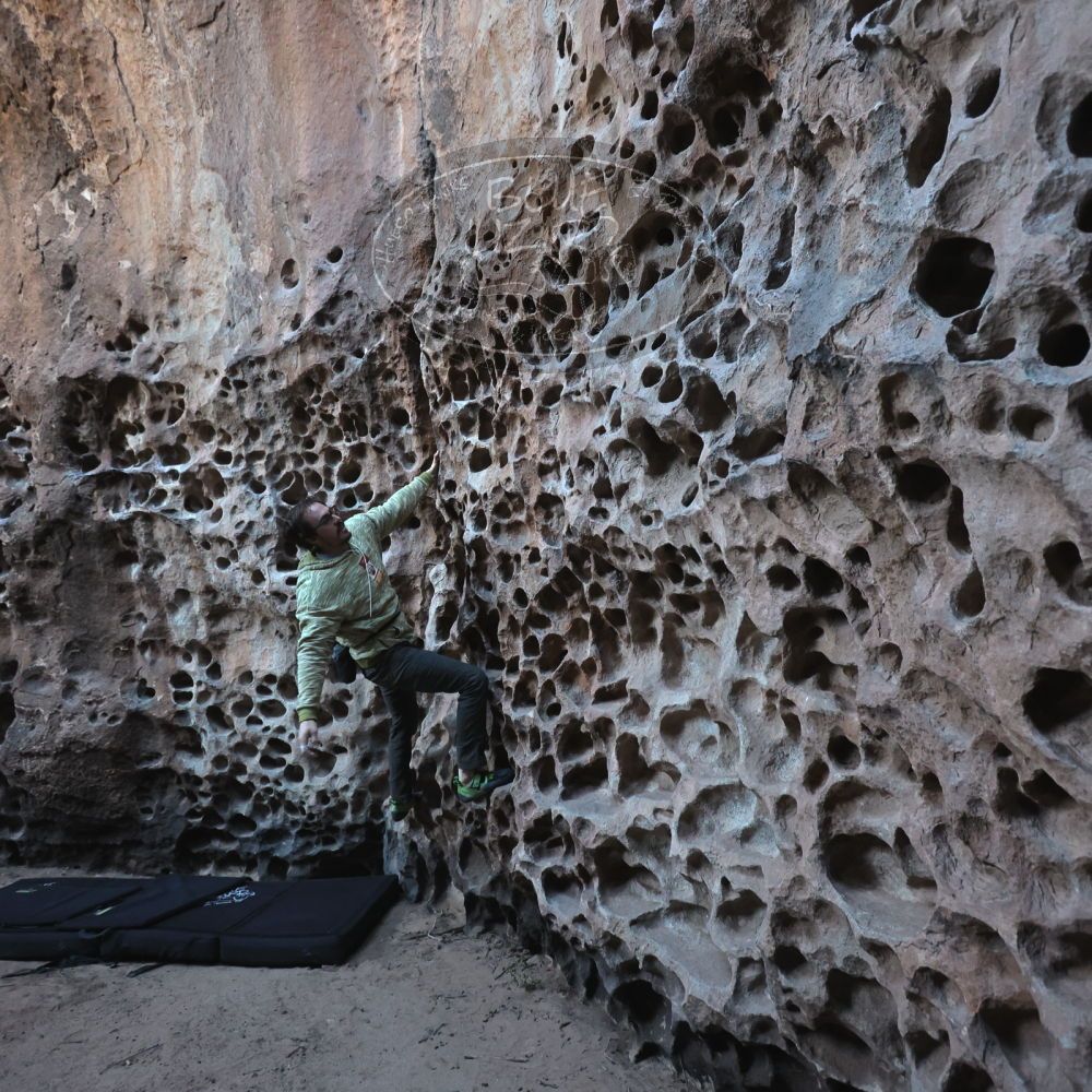 Filename: SRM_20250308_1638550.jpg
Aperture: f/4.0
Shutter Speed: 1/250
Body: Canon EOS R6
Lens: Canon EF 16-35mm f/2.8 L