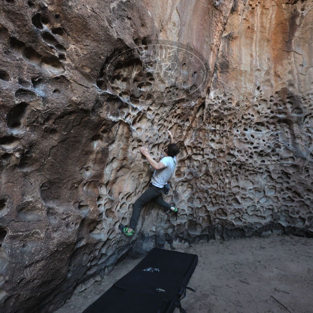 Filename: SRM_20250308_1643050.jpg
Aperture: f/4.0
Shutter Speed: 1/250
Body: Canon EOS R6
Lens: Canon EF 16-35mm f/2.8 L