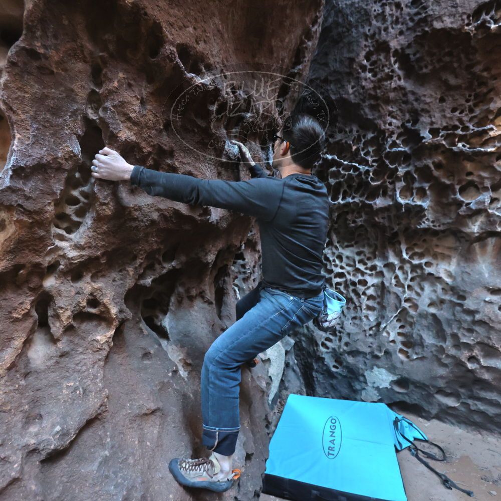 

Filename: SRM_20250308_1644170.jpg
Aperture: f/4.0
Shutter Speed: 1/250
Body: Canon EOS R6
Lens: Canon EF 16-35mm f/2.8 L