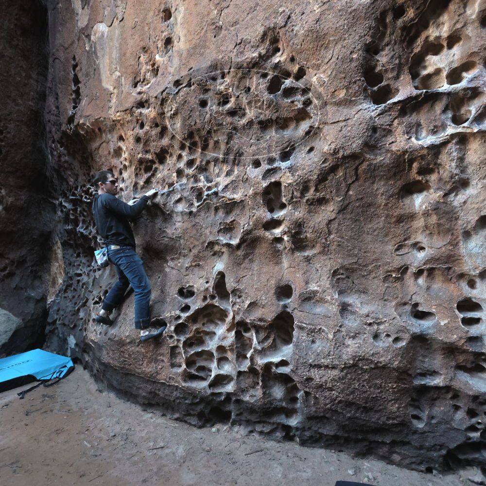 

Filename: SRM_20250308_1645110.jpg
Aperture: f/4.0
Shutter Speed: 1/250
Body: Canon EOS R6
Lens: Canon EF 16-35mm f/2.8 L