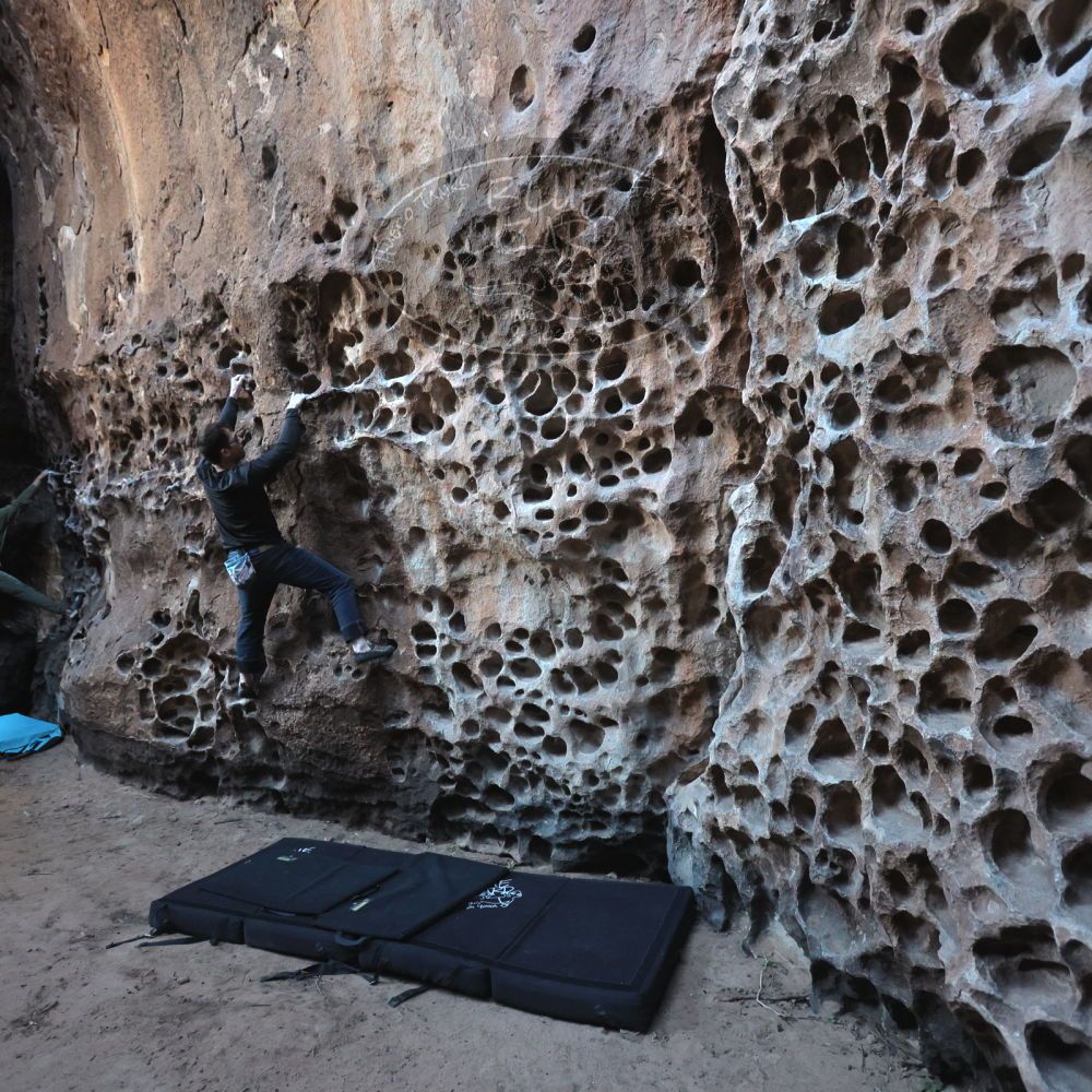 Filename: SRM_20250308_1645310.jpg
Aperture: f/4.0
Shutter Speed: 1/250
Body: Canon EOS R6
Lens: Canon EF 16-35mm f/2.8 L