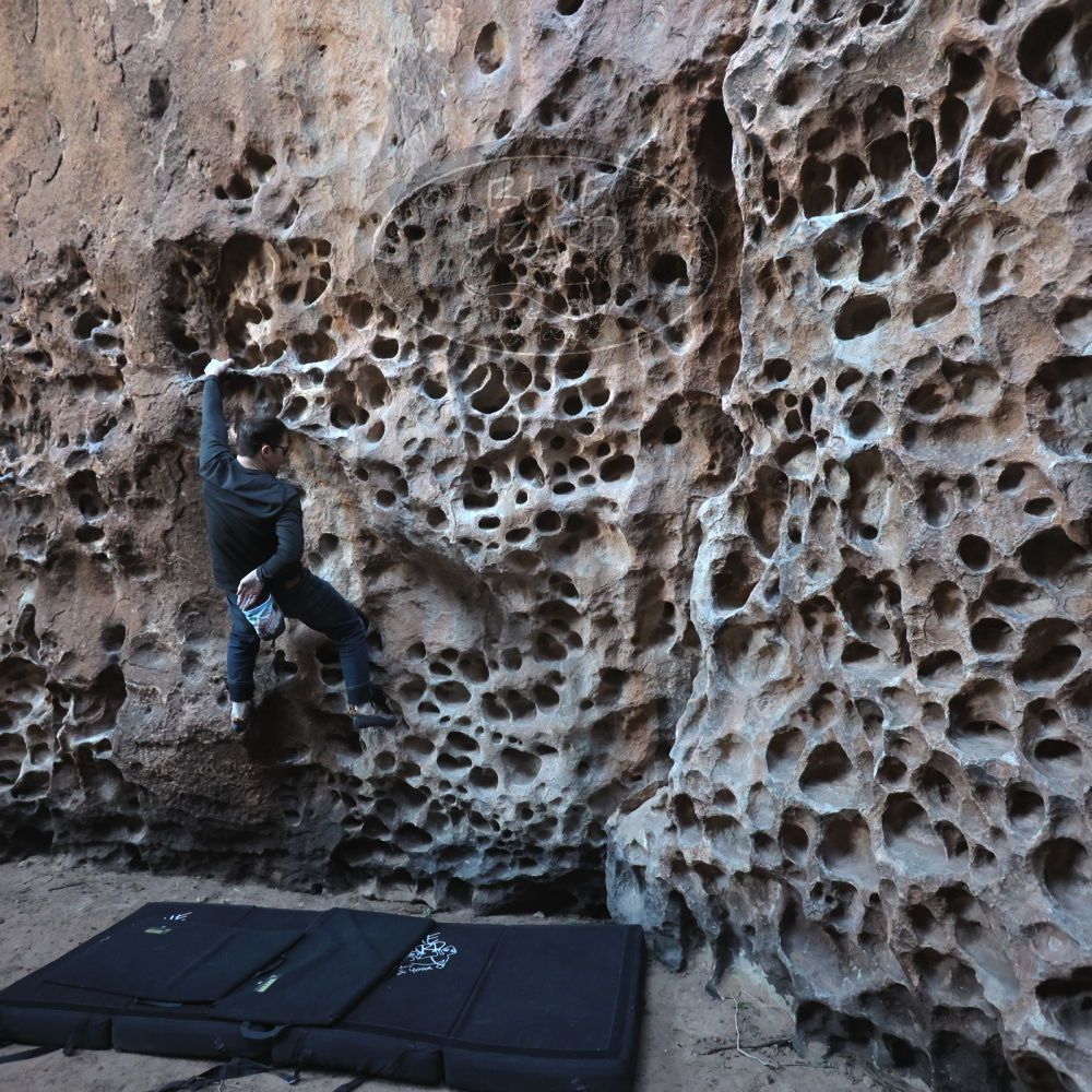 

Filename: SRM_20250308_1645440.jpg
Aperture: f/4.0
Shutter Speed: 1/250
Body: Canon EOS R6
Lens: Canon EF 16-35mm f/2.8 L