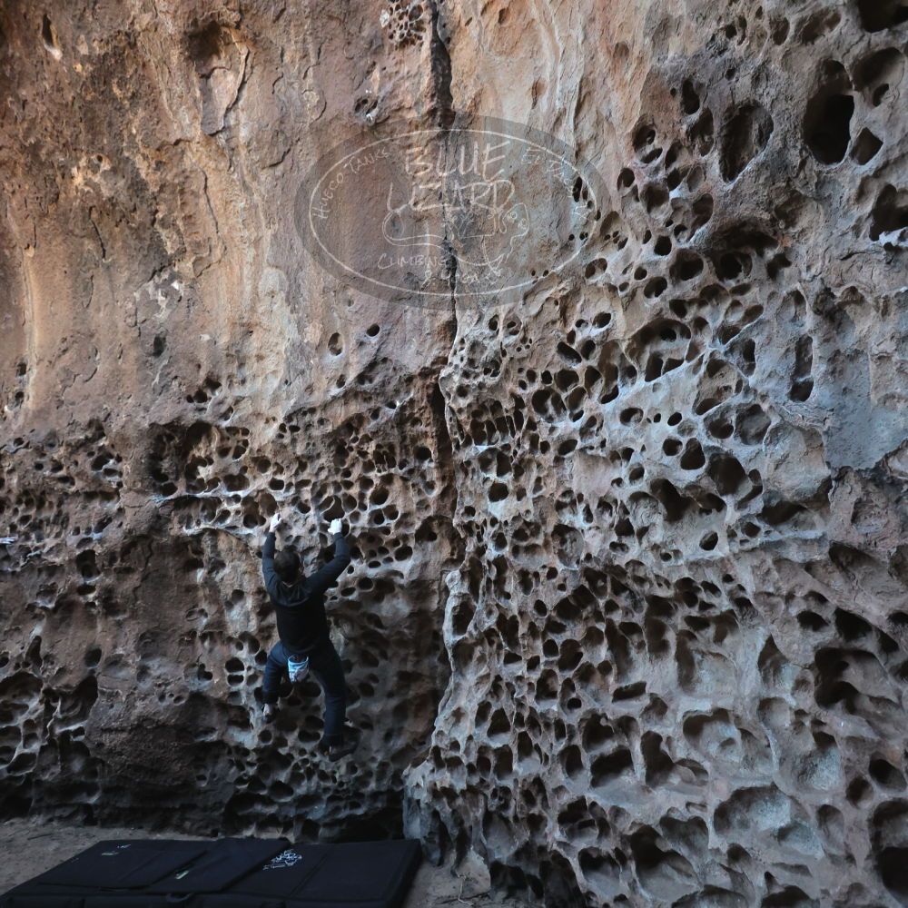 

Filename: SRM_20250308_1645590.jpg
Aperture: f/4.0
Shutter Speed: 1/250
Body: Canon EOS R6
Lens: Canon EF 16-35mm f/2.8 L