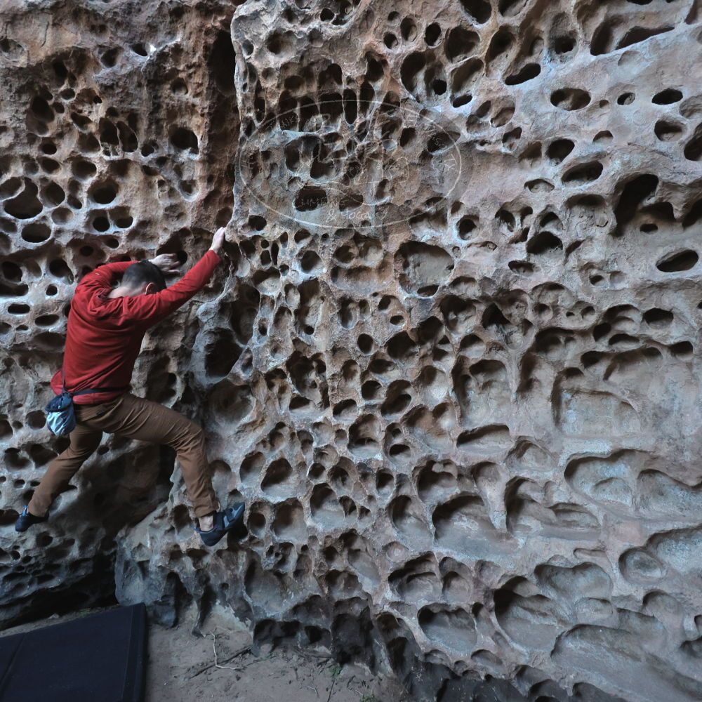 

Filename: SRM_20250308_1648420.jpg
Aperture: f/4.0
Shutter Speed: 1/250
Body: Canon EOS R6
Lens: Canon EF 16-35mm f/2.8 L