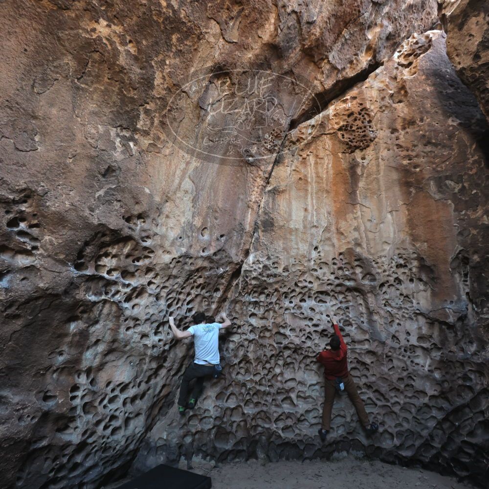 Filename: SRM_20250308_1649060.jpg
Aperture: f/4.0
Shutter Speed: 1/250
Body: Canon EOS R6
Lens: Canon EF 16-35mm f/2.8 L