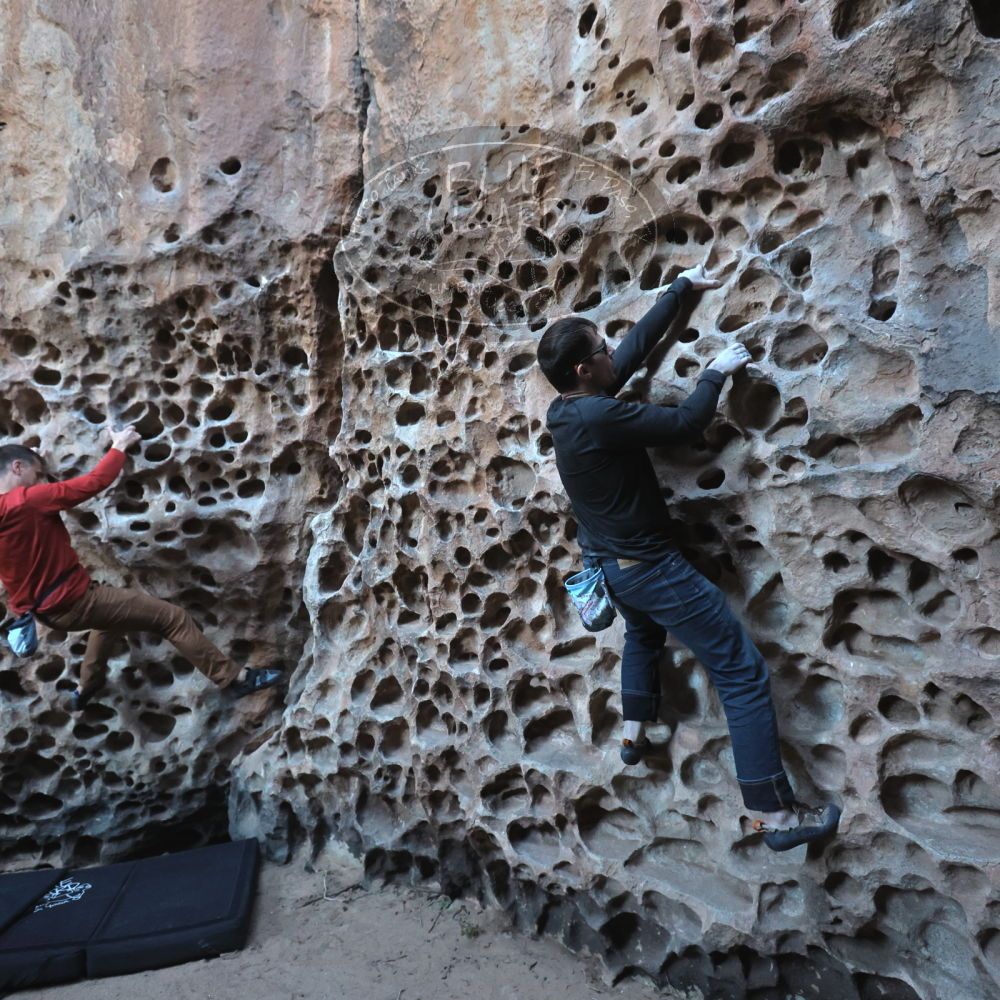 

Filename: SRM_20250308_1654340.jpg
Aperture: f/4.0
Shutter Speed: 1/250
Body: Canon EOS R6
Lens: Canon EF 16-35mm f/2.8 L