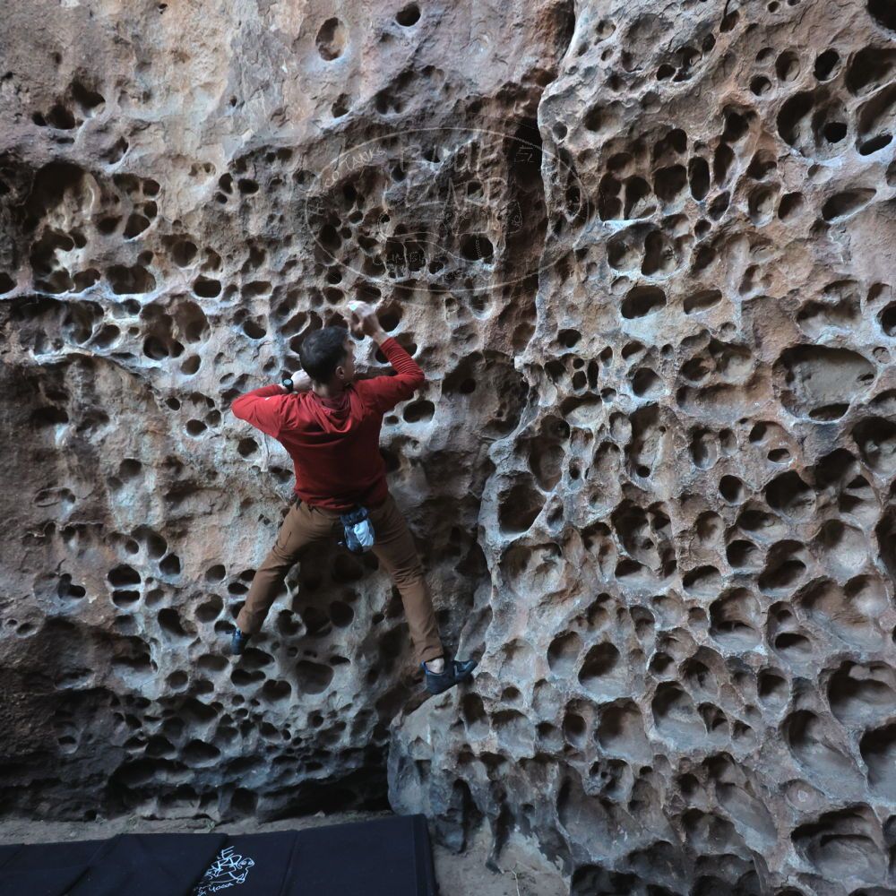 Filename: SRM_20250308_1654380.jpg
Aperture: f/4.0
Shutter Speed: 1/250
Body: Canon EOS R6
Lens: Canon EF 16-35mm f/2.8 L