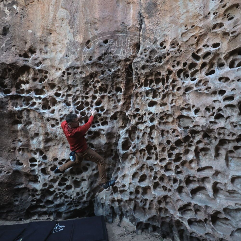 

Filename: SRM_20250308_1654430.jpg
Aperture: f/4.0
Shutter Speed: 1/250
Body: Canon EOS R6
Lens: Canon EF 16-35mm f/2.8 L