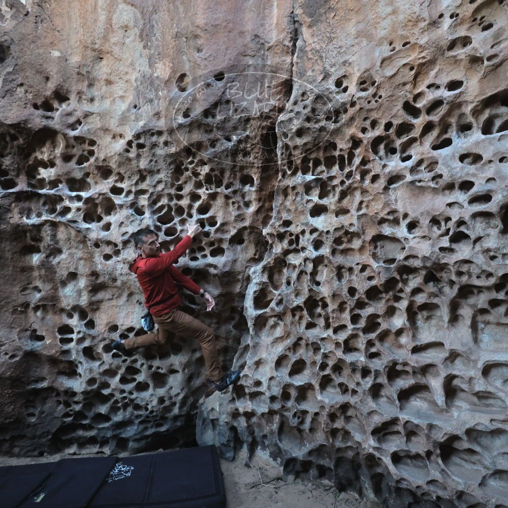 

Filename: SRM_20250308_1654450.jpg
Aperture: f/4.0
Shutter Speed: 1/250
Body: Canon EOS R6
Lens: Canon EF 16-35mm f/2.8 L