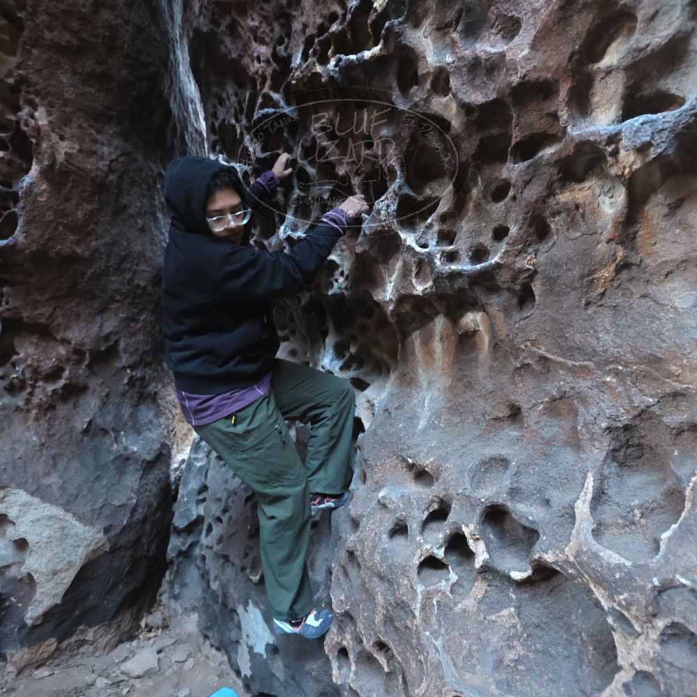 

Filename: SRM_20250308_1657280.jpg
Aperture: f/4.0
Shutter Speed: 1/250
Body: Canon EOS R6
Lens: Canon EF 16-35mm f/2.8 L