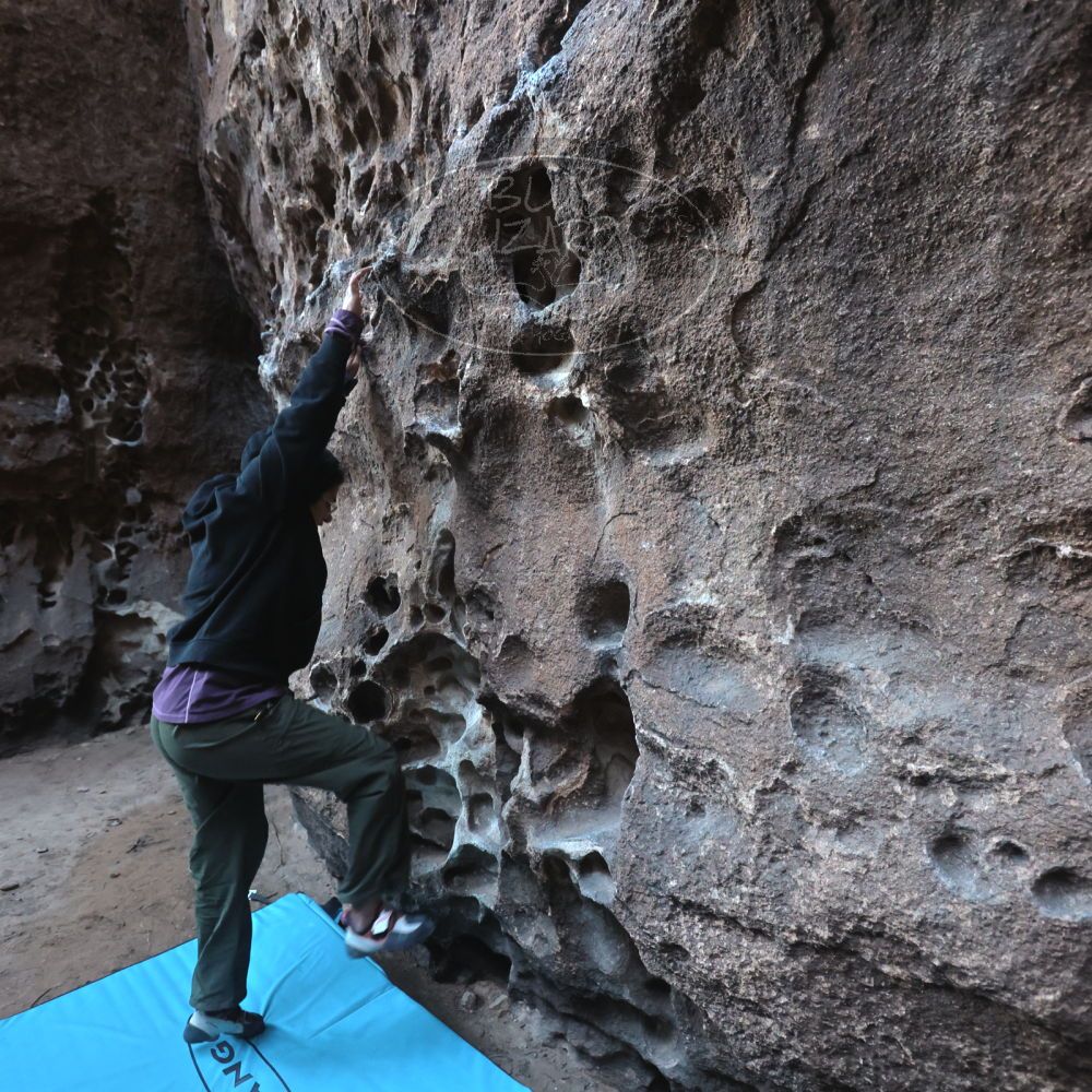 

Filename: SRM_20250308_1659100.jpg
Aperture: f/4.0
Shutter Speed: 1/200
Body: Canon EOS R6
Lens: Canon EF 16-35mm f/2.8 L