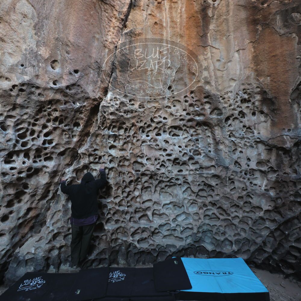 

Filename: SRM_20250308_1708160.jpg
Aperture: f/4.0
Shutter Speed: 1/160
Body: Canon EOS R6
Lens: Canon EF 16-35mm f/2.8 L