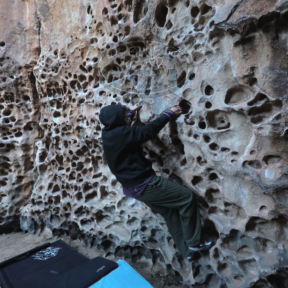 

Filename: SRM_20250308_1709220.jpg
Aperture: f/4.0
Shutter Speed: 1/160
Body: Canon EOS R6
Lens: Canon EF 16-35mm f/2.8 L