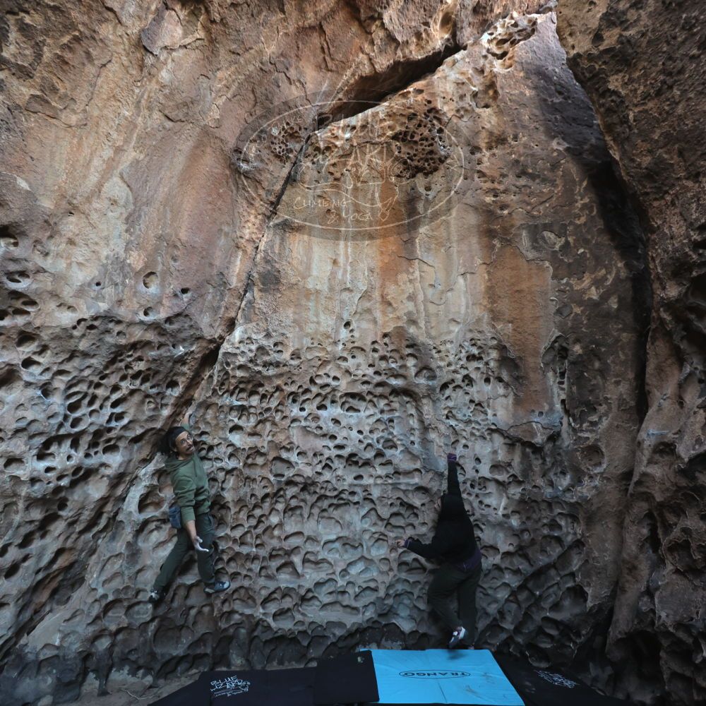 

Filename: SRM_20250308_1715240.jpg
Aperture: f/4.0
Shutter Speed: 1/160
Body: Canon EOS R6
Lens: Canon EF 16-35mm f/2.8 L