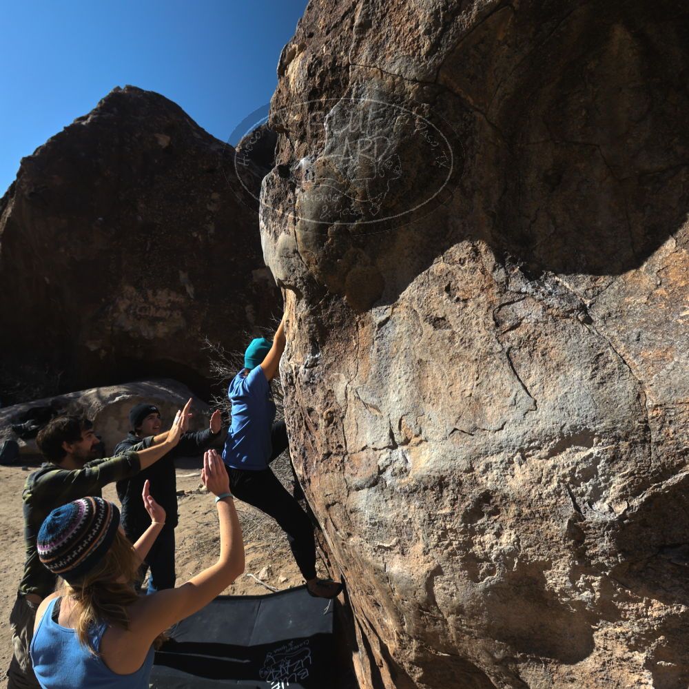 

Filename: SRM_20250316_0845490.jpg
Aperture: f/7.1
Shutter Speed: 1/200
Body: Canon EOS R6
Lens: Canon EF 16-35mm f/2.8 L