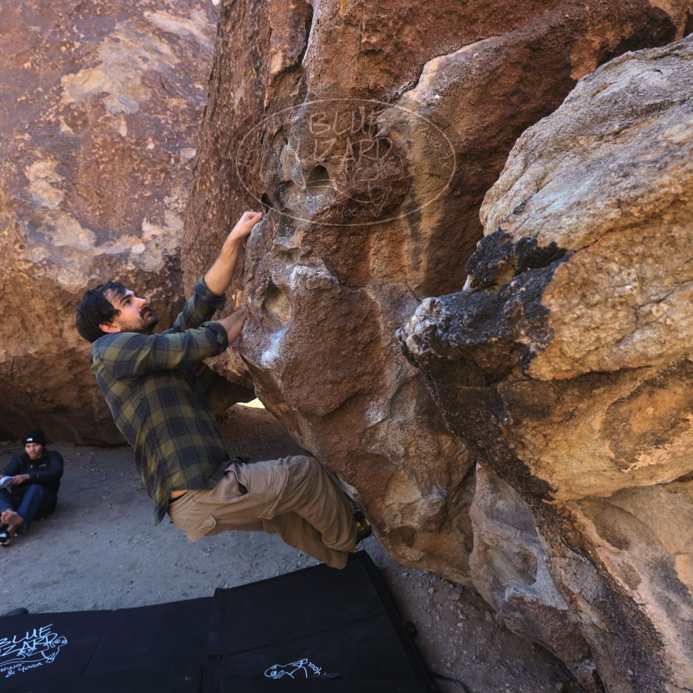 

Filename: SRM_20250316_0851050.jpg
Aperture: f/7.1
Shutter Speed: 1/80
Body: Canon EOS R6
Lens: Canon EF 16-35mm f/2.8 L