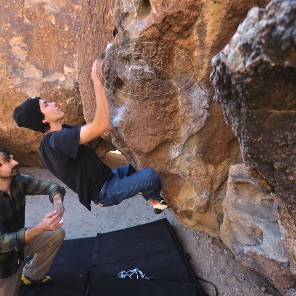 

Filename: SRM_20250316_0853430.jpg
Aperture: f/7.1
Shutter Speed: 1/80
Body: Canon EOS R6
Lens: Canon EF 16-35mm f/2.8 L