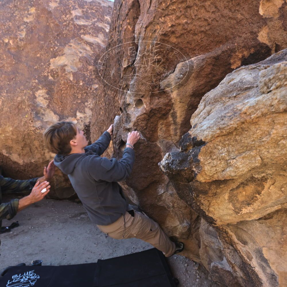 

Filename: SRM_20250316_0854481.jpg
Aperture: f/7.1
Shutter Speed: 1/80
Body: Canon EOS R6
Lens: Canon EF 16-35mm f/2.8 L