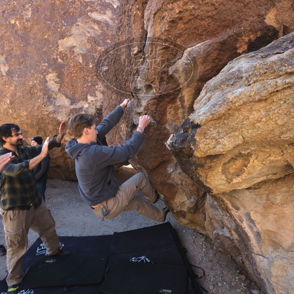 

Filename: SRM_20250316_0856220.jpg
Aperture: f/7.1
Shutter Speed: 1/60
Body: Canon EOS R6
Lens: Canon EF 16-35mm f/2.8 L