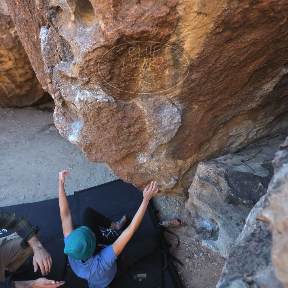 

Filename: SRM_20250316_0900210.jpg
Aperture: f/4.0
Shutter Speed: 1/500
Body: Canon EOS R6
Lens: Canon EF 16-35mm f/2.8 L