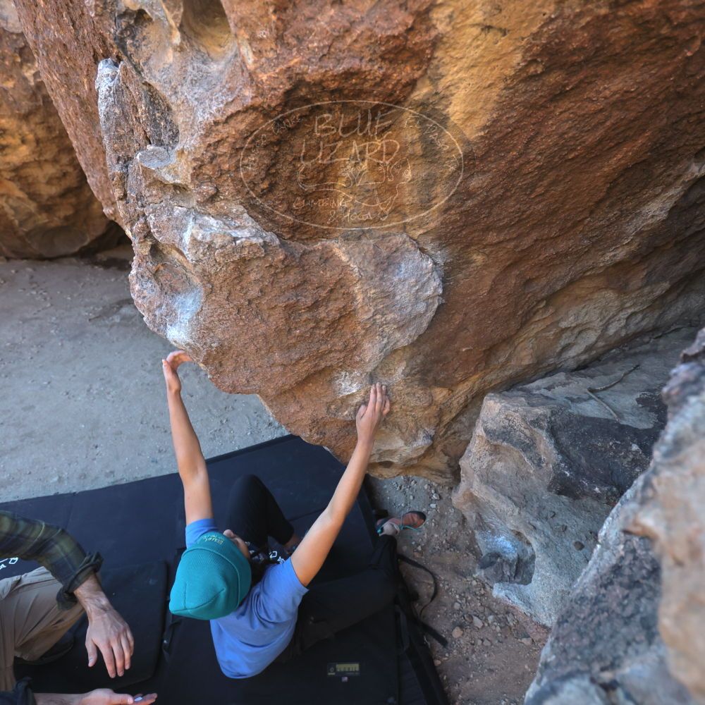 

Filename: SRM_20250316_0900211.jpg
Aperture: f/4.0
Shutter Speed: 1/500
Body: Canon EOS R6
Lens: Canon EF 16-35mm f/2.8 L