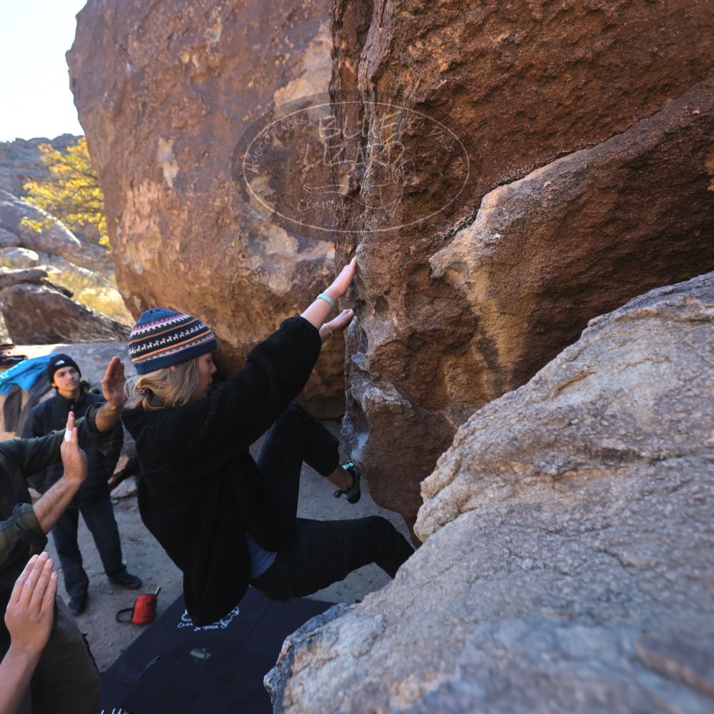 

Filename: SRM_20250316_0901510.jpg
Aperture: f/4.0
Shutter Speed: 1/500
Body: Canon EOS R6
Lens: Canon EF 16-35mm f/2.8 L