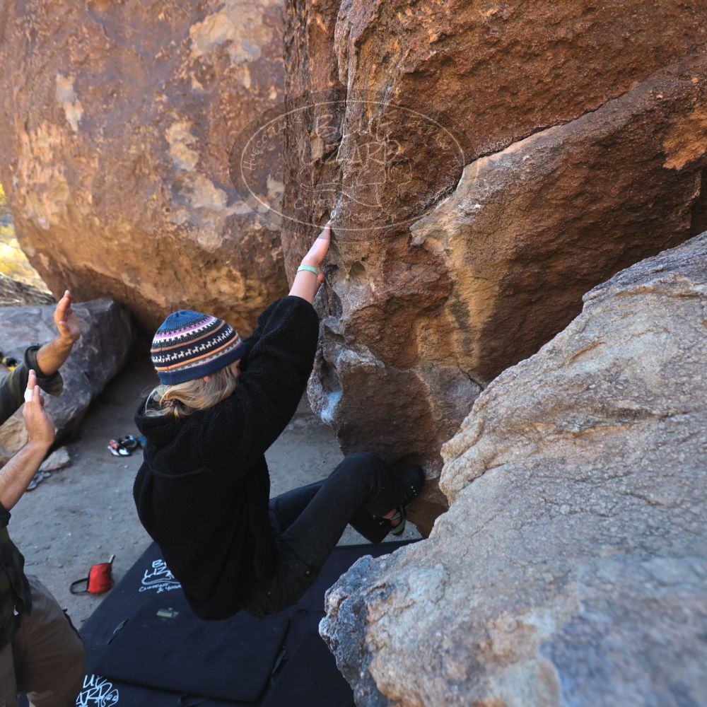 

Filename: SRM_20250316_0902000.jpg
Aperture: f/4.0
Shutter Speed: 1/500
Body: Canon EOS R6
Lens: Canon EF 16-35mm f/2.8 L