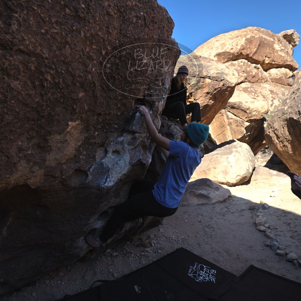 

Filename: SRM_20250316_0906320.jpg
Aperture: f/4.0
Shutter Speed: 1/500
Body: Canon EOS R6
Lens: Canon EF 16-35mm f/2.8 L