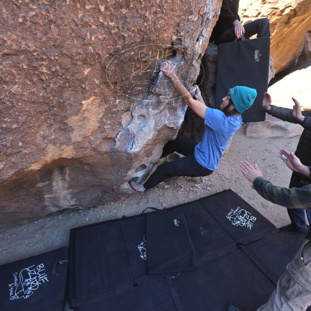 

Filename: SRM_20250316_0911540.jpg
Aperture: f/4.0
Shutter Speed: 1/500
Body: Canon EOS R6
Lens: Canon EF 16-35mm f/2.8 L