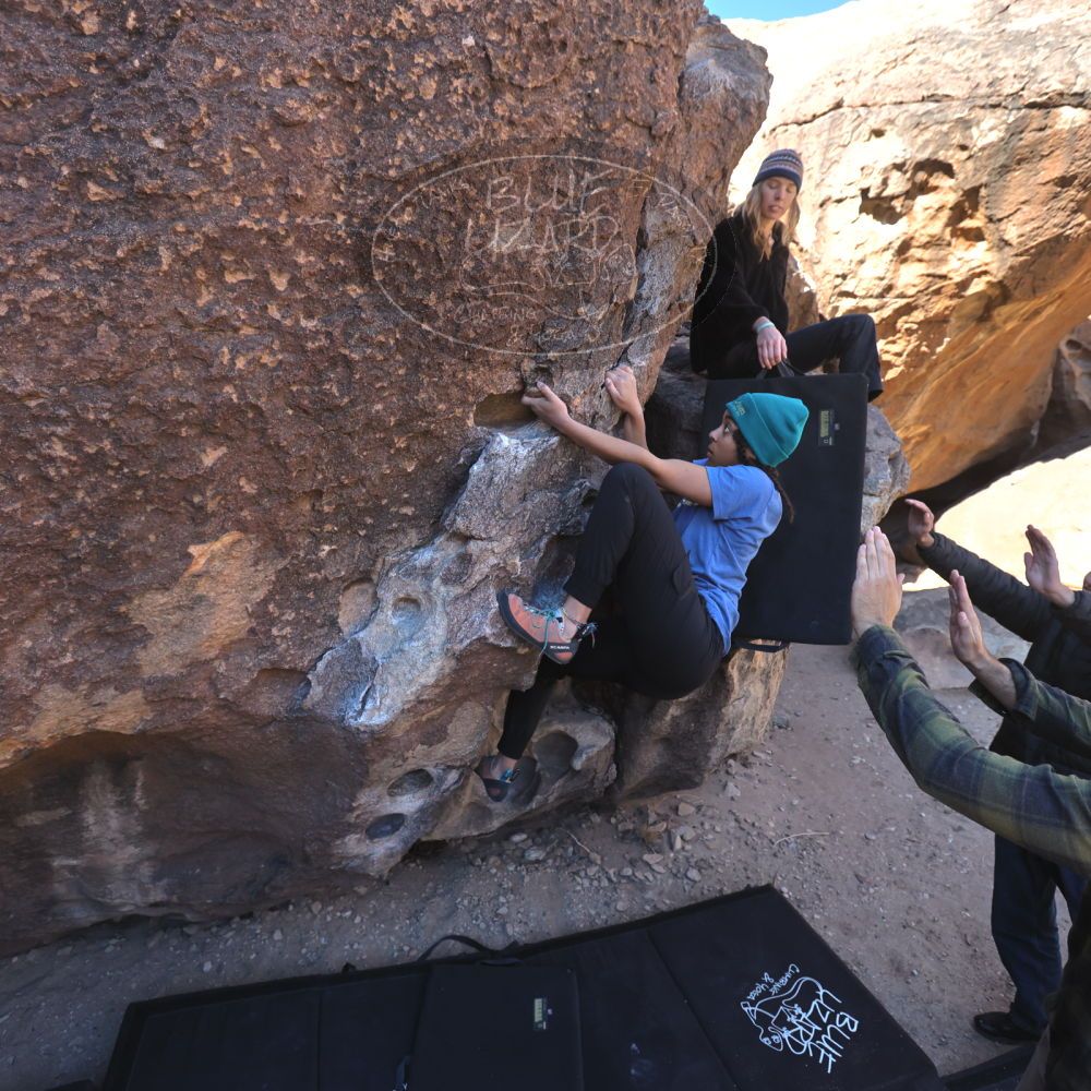 

Filename: SRM_20250316_0912050.jpg
Aperture: f/4.0
Shutter Speed: 1/500
Body: Canon EOS R6
Lens: Canon EF 16-35mm f/2.8 L