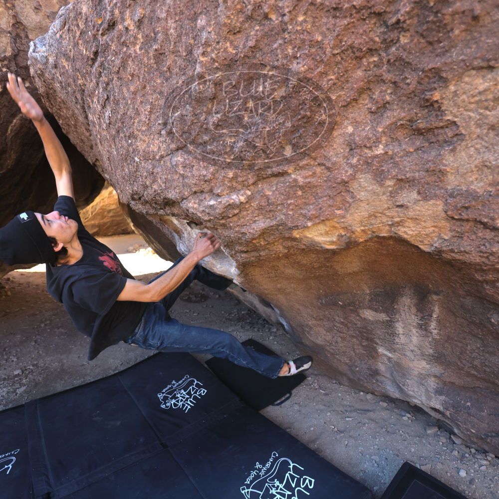 

Filename: SRM_20250316_0925520.jpg
Aperture: f/4.0
Shutter Speed: 1/500
Body: Canon EOS R6
Lens: Canon EF 16-35mm f/2.8 L