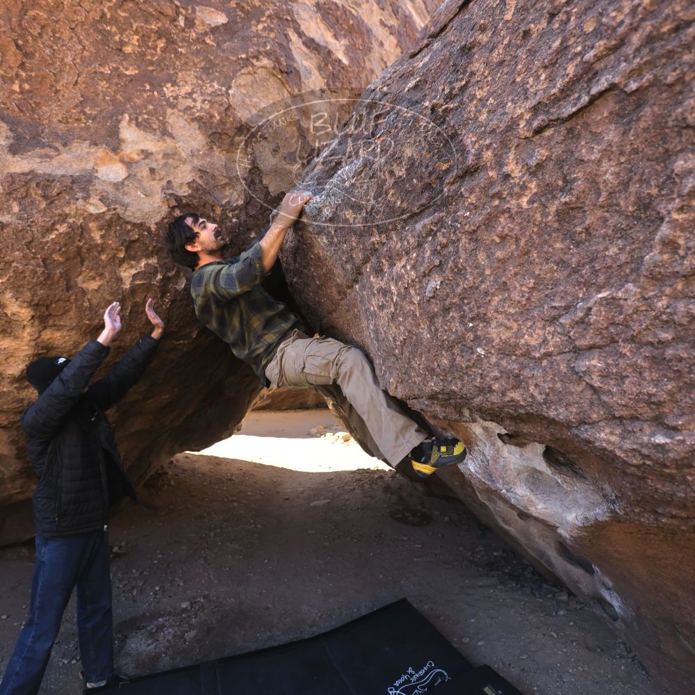 

Filename: SRM_20250316_0936390.jpg
Aperture: f/4.0
Shutter Speed: 1/500
Body: Canon EOS R6
Lens: Canon EF 16-35mm f/2.8 L