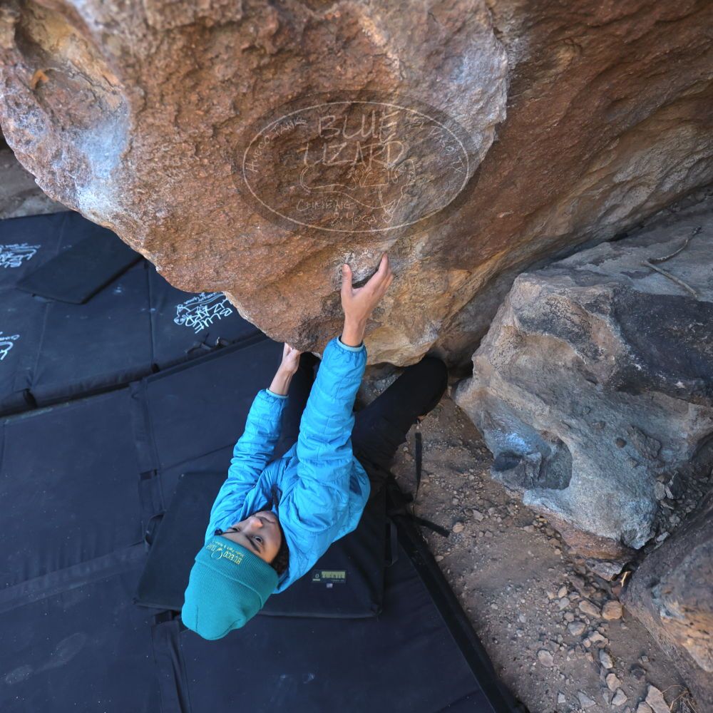 

Filename: SRM_20250316_0949050.jpg
Aperture: f/4.0
Shutter Speed: 1/500
Body: Canon EOS R6
Lens: Canon EF 16-35mm f/2.8 L