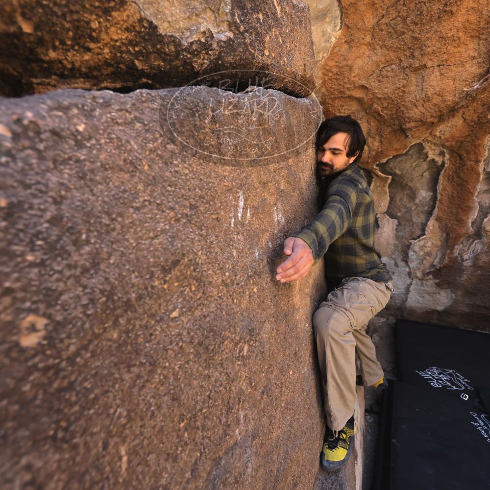 

Filename: SRM_20250316_0958270.jpg
Aperture: f/4.0
Shutter Speed: 1/500
Body: Canon EOS R6
Lens: Canon EF 16-35mm f/2.8 L