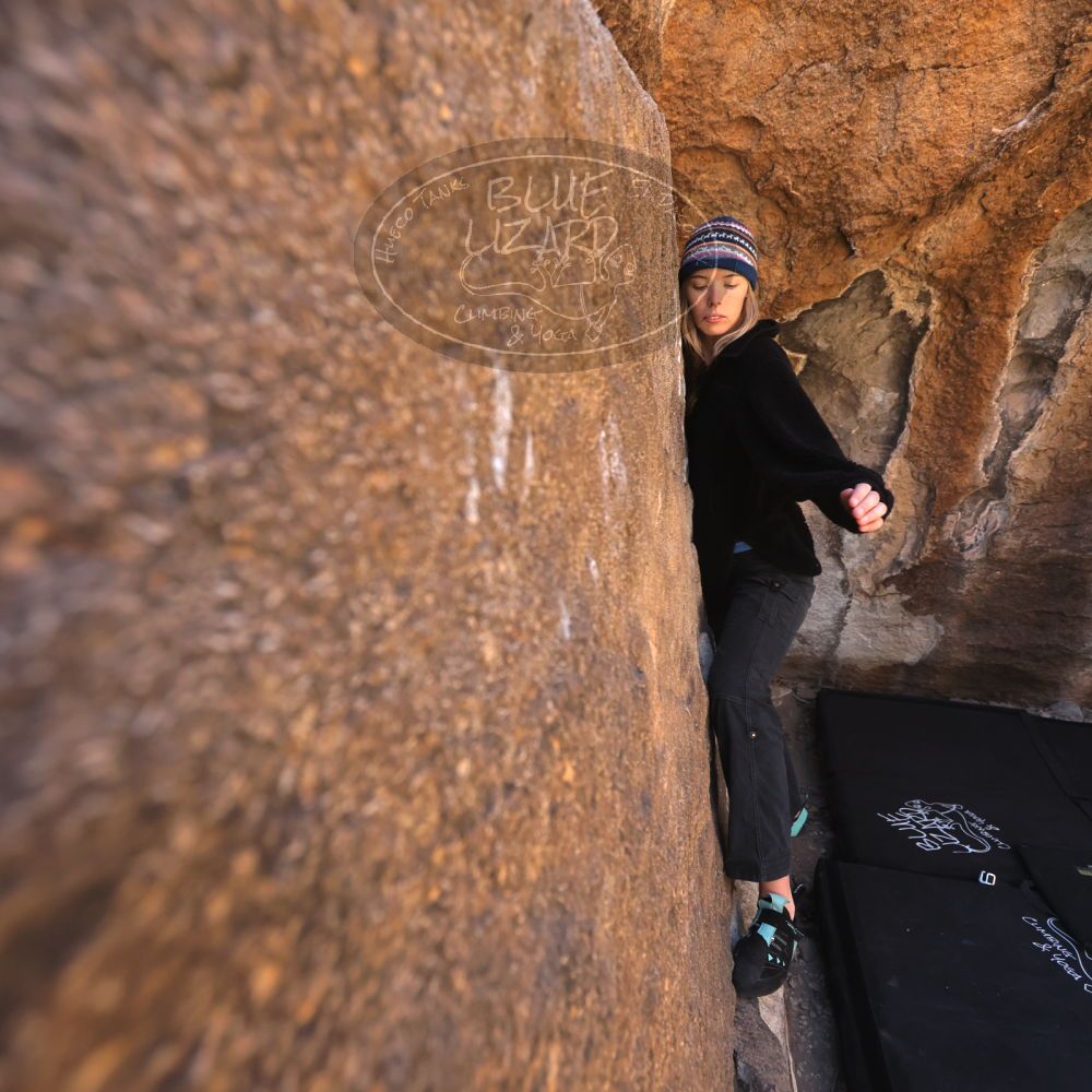 

Filename: SRM_20250316_0959480.jpg
Aperture: f/4.0
Shutter Speed: 1/500
Body: Canon EOS R6
Lens: Canon EF 16-35mm f/2.8 L