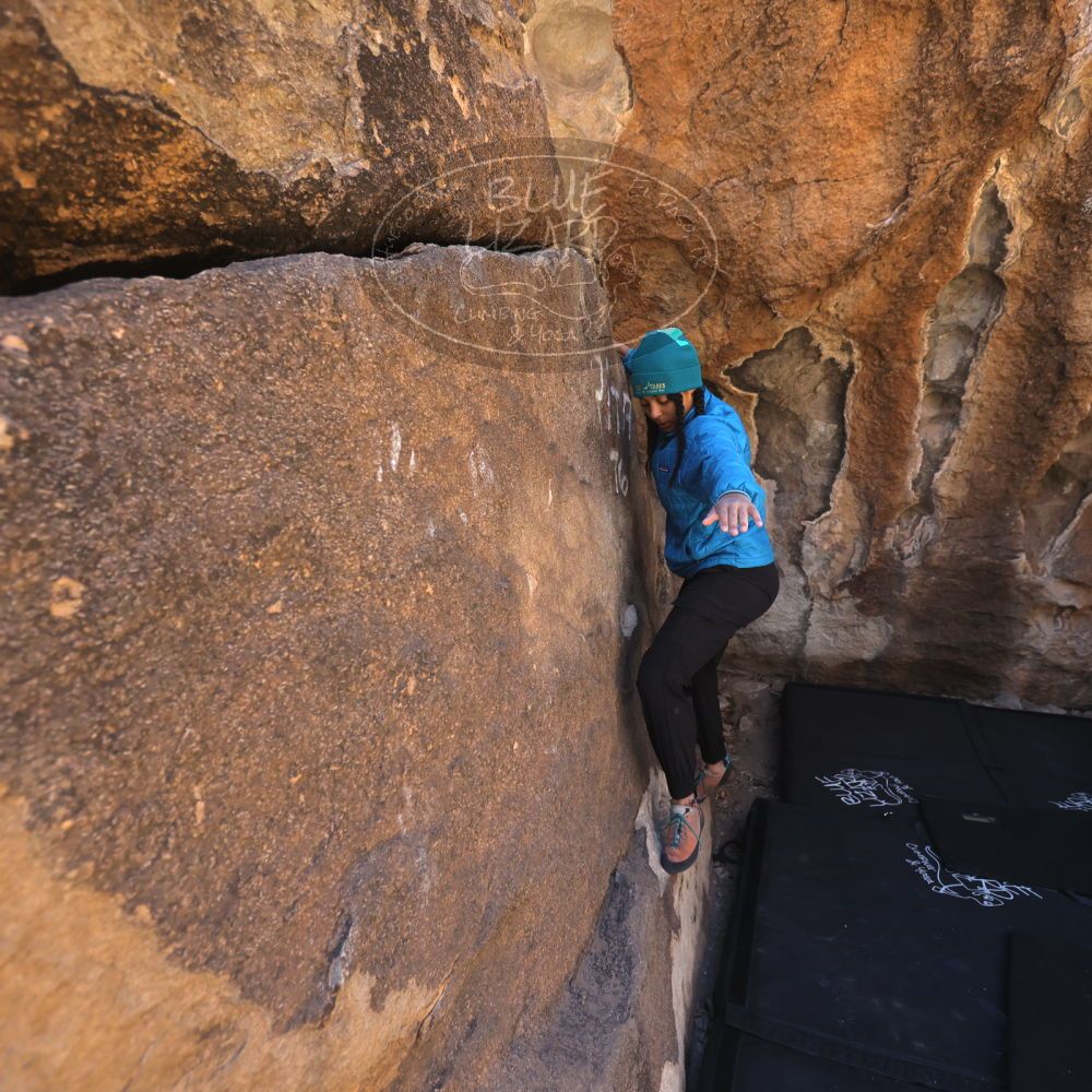 

Filename: SRM_20250316_1006370.jpg
Aperture: f/4.0
Shutter Speed: 1/500
Body: Canon EOS R6
Lens: Canon EF 16-35mm f/2.8 L