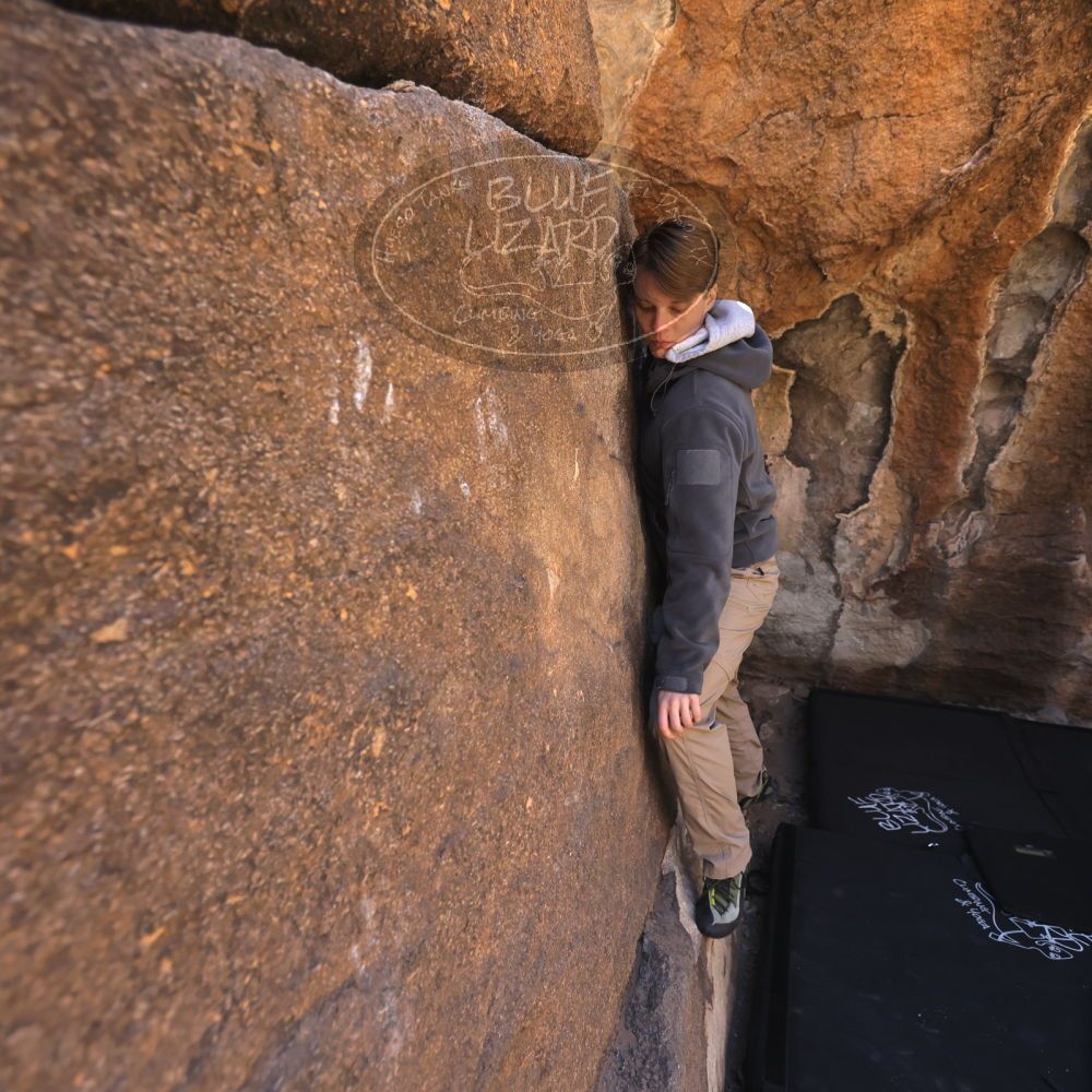 

Filename: SRM_20250316_1007090.jpg
Aperture: f/4.0
Shutter Speed: 1/500
Body: Canon EOS R6
Lens: Canon EF 16-35mm f/2.8 L