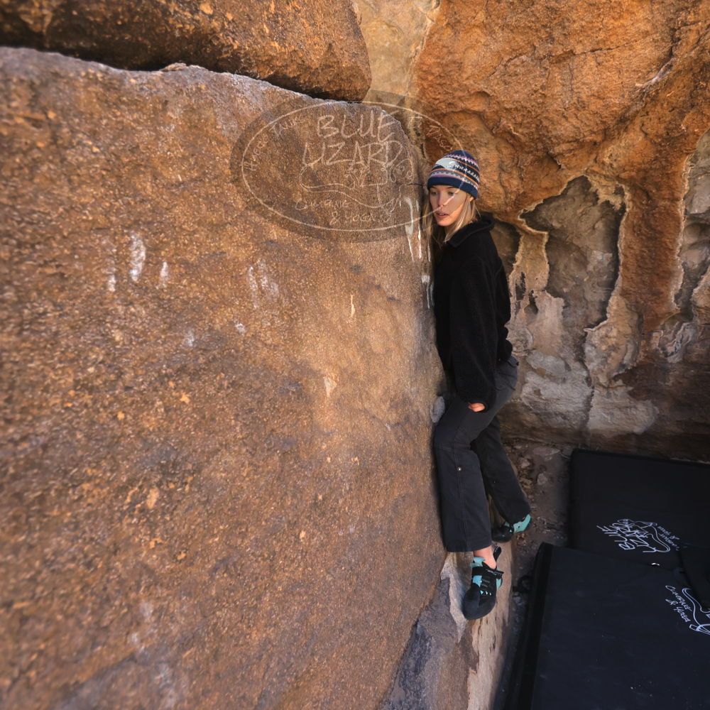 

Filename: SRM_20250316_1008340.jpg
Aperture: f/4.0
Shutter Speed: 1/500
Body: Canon EOS R6
Lens: Canon EF 16-35mm f/2.8 L