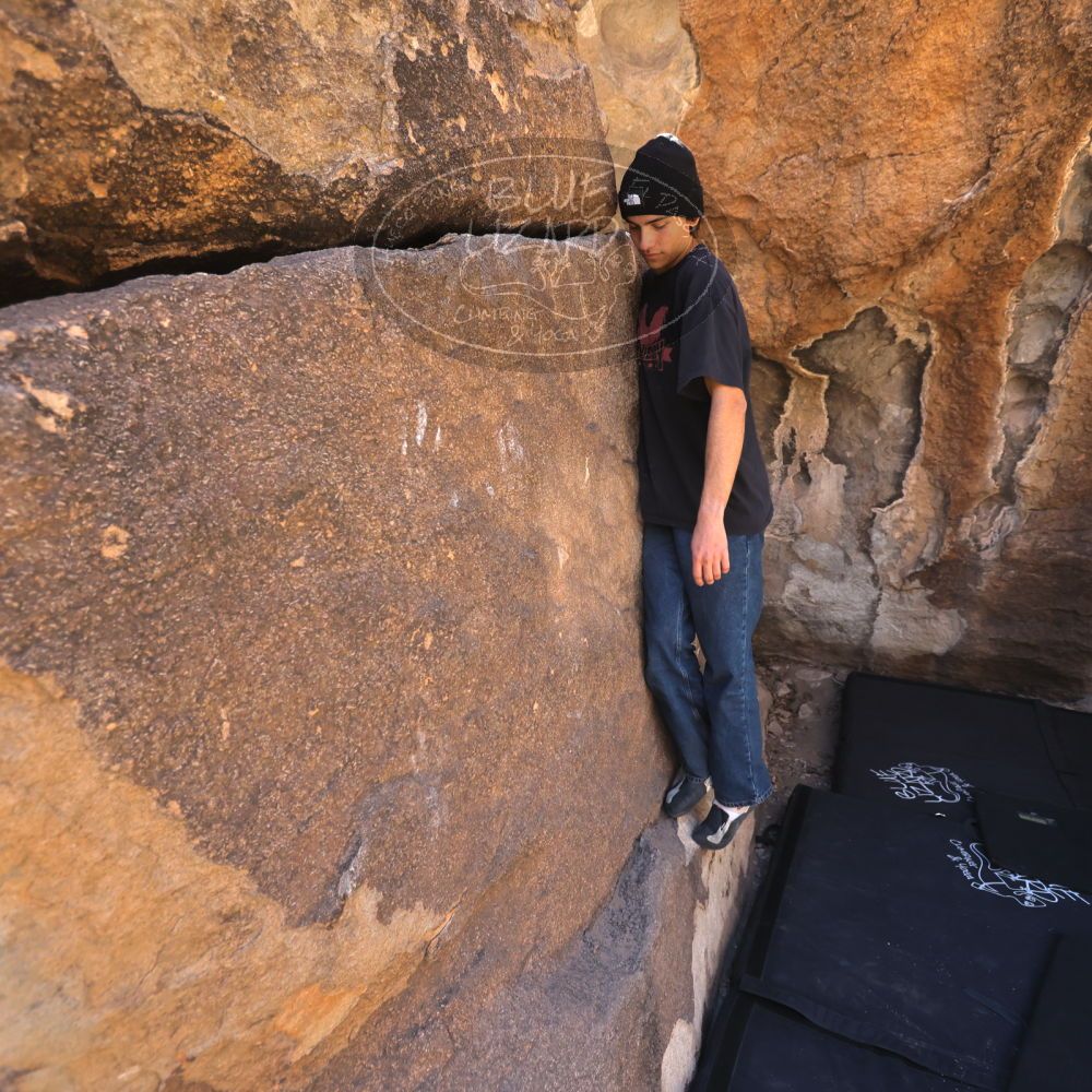 

Filename: SRM_20250316_1009170.jpg
Aperture: f/4.0
Shutter Speed: 1/500
Body: Canon EOS R6
Lens: Canon EF 16-35mm f/2.8 L