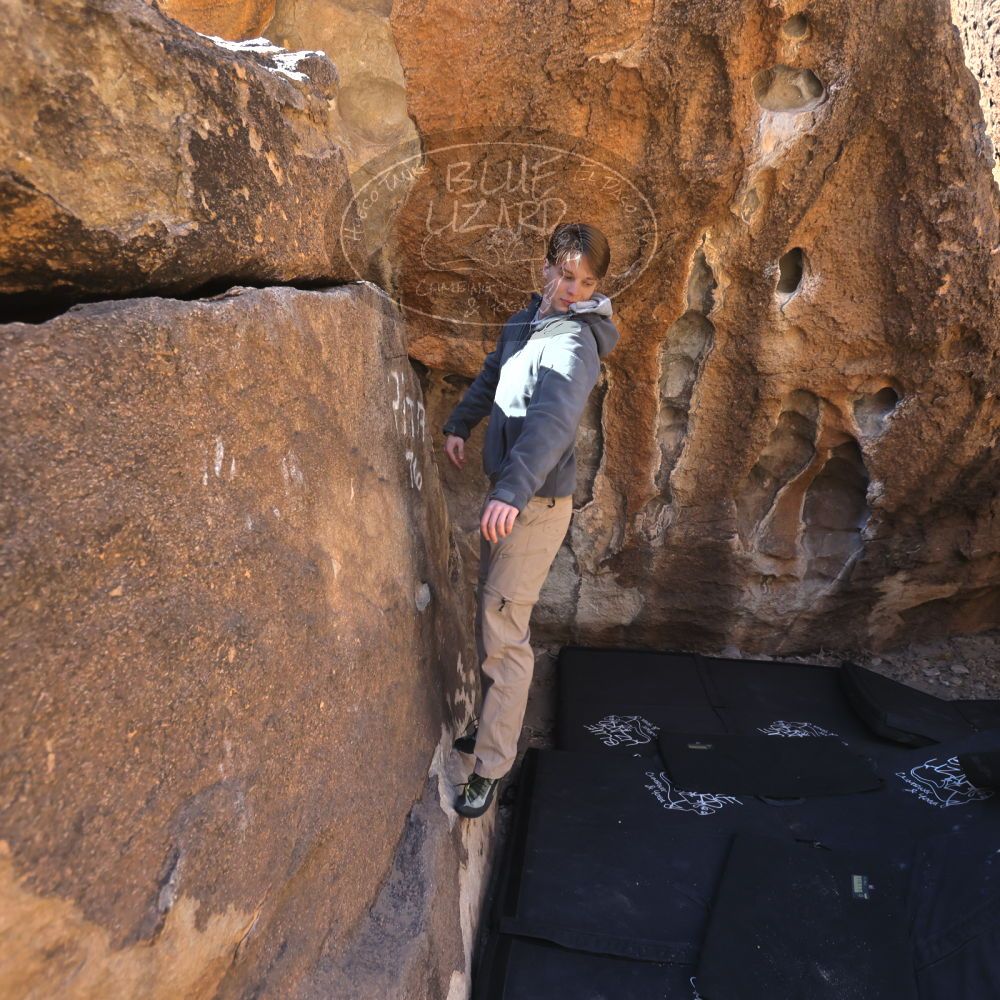 

Filename: SRM_20250316_1010560.jpg
Aperture: f/4.0
Shutter Speed: 1/500
Body: Canon EOS R6
Lens: Canon EF 16-35mm f/2.8 L