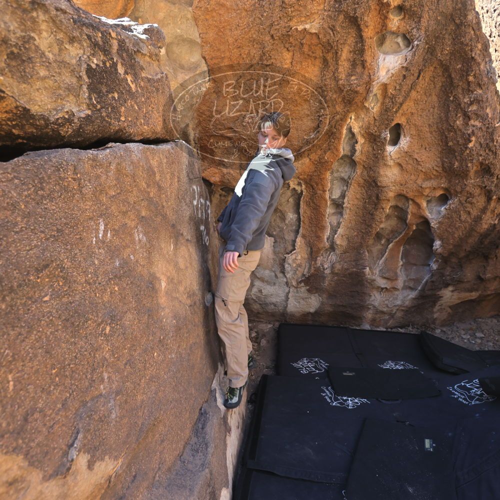 

Filename: SRM_20250316_1010561.jpg
Aperture: f/4.0
Shutter Speed: 1/500
Body: Canon EOS R6
Lens: Canon EF 16-35mm f/2.8 L