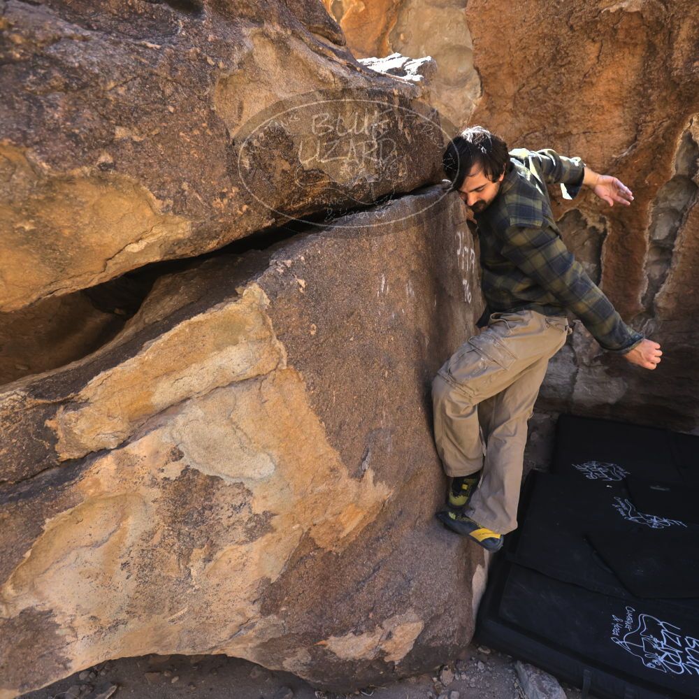 

Filename: SRM_20250316_1013390.jpg
Aperture: f/4.0
Shutter Speed: 1/500
Body: Canon EOS R6
Lens: Canon EF 16-35mm f/2.8 L