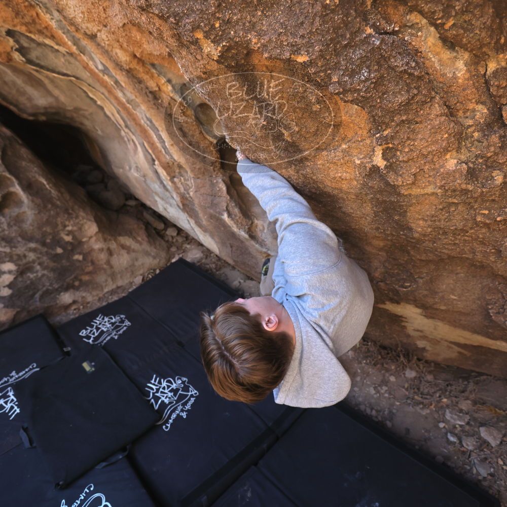 

Filename: SRM_20250316_1020530.jpg
Aperture: f/4.0
Shutter Speed: 1/500
Body: Canon EOS R6
Lens: Canon EF 16-35mm f/2.8 L