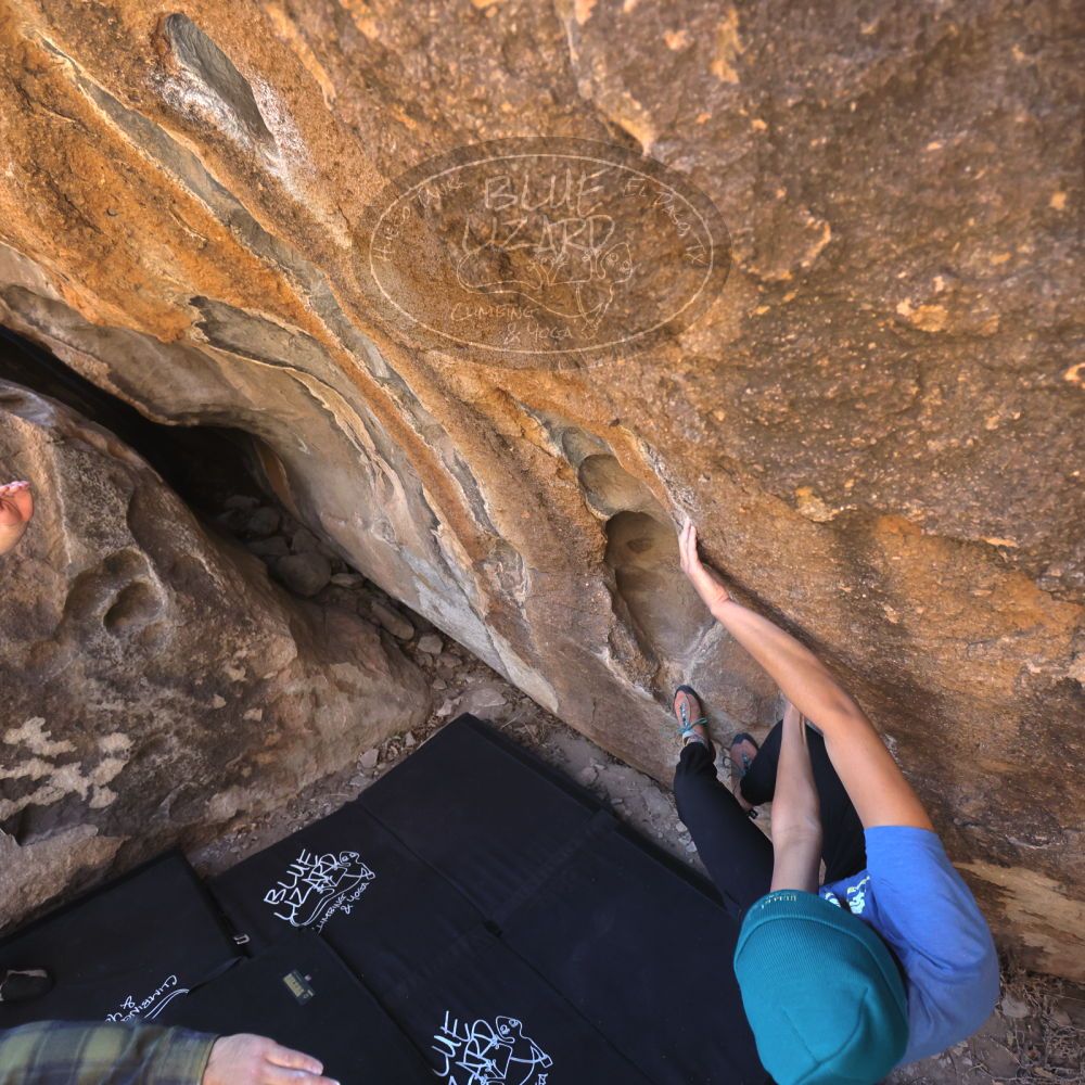 

Filename: SRM_20250316_1022340.jpg
Aperture: f/4.0
Shutter Speed: 1/500
Body: Canon EOS R6
Lens: Canon EF 16-35mm f/2.8 L